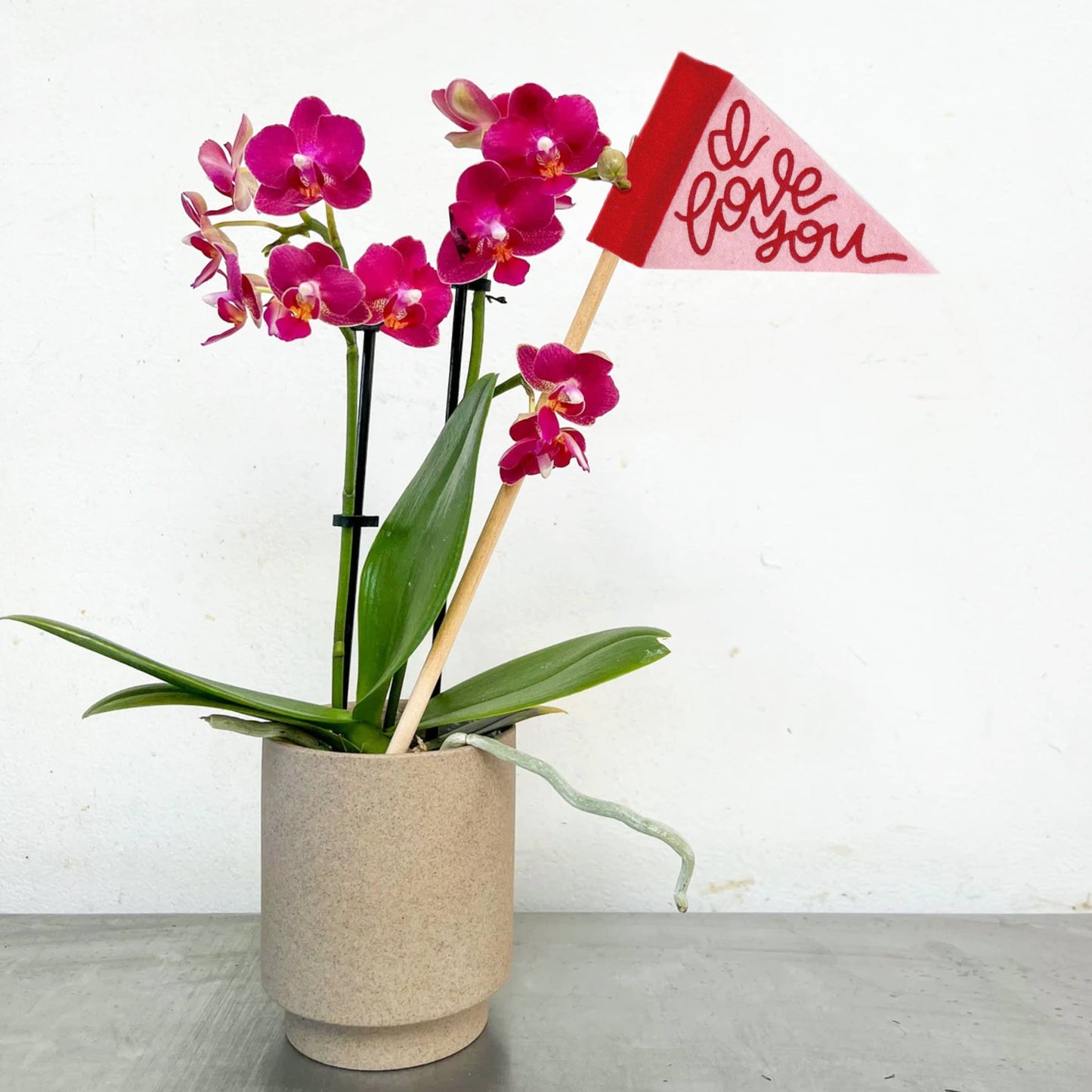 Love Tiny Flag Pennants | Floral Bouquets & More