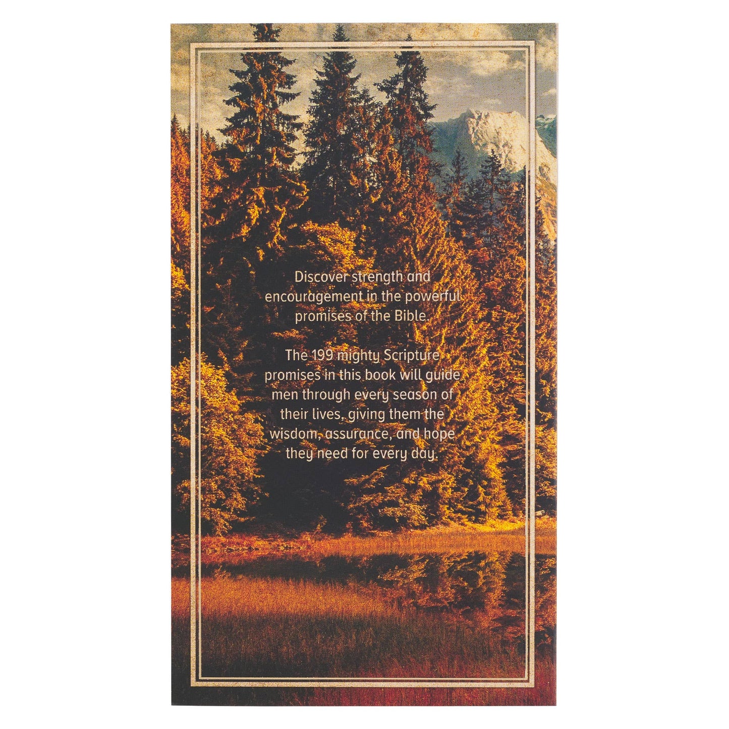 199 Favorite Bible Verses for Men - Softcover