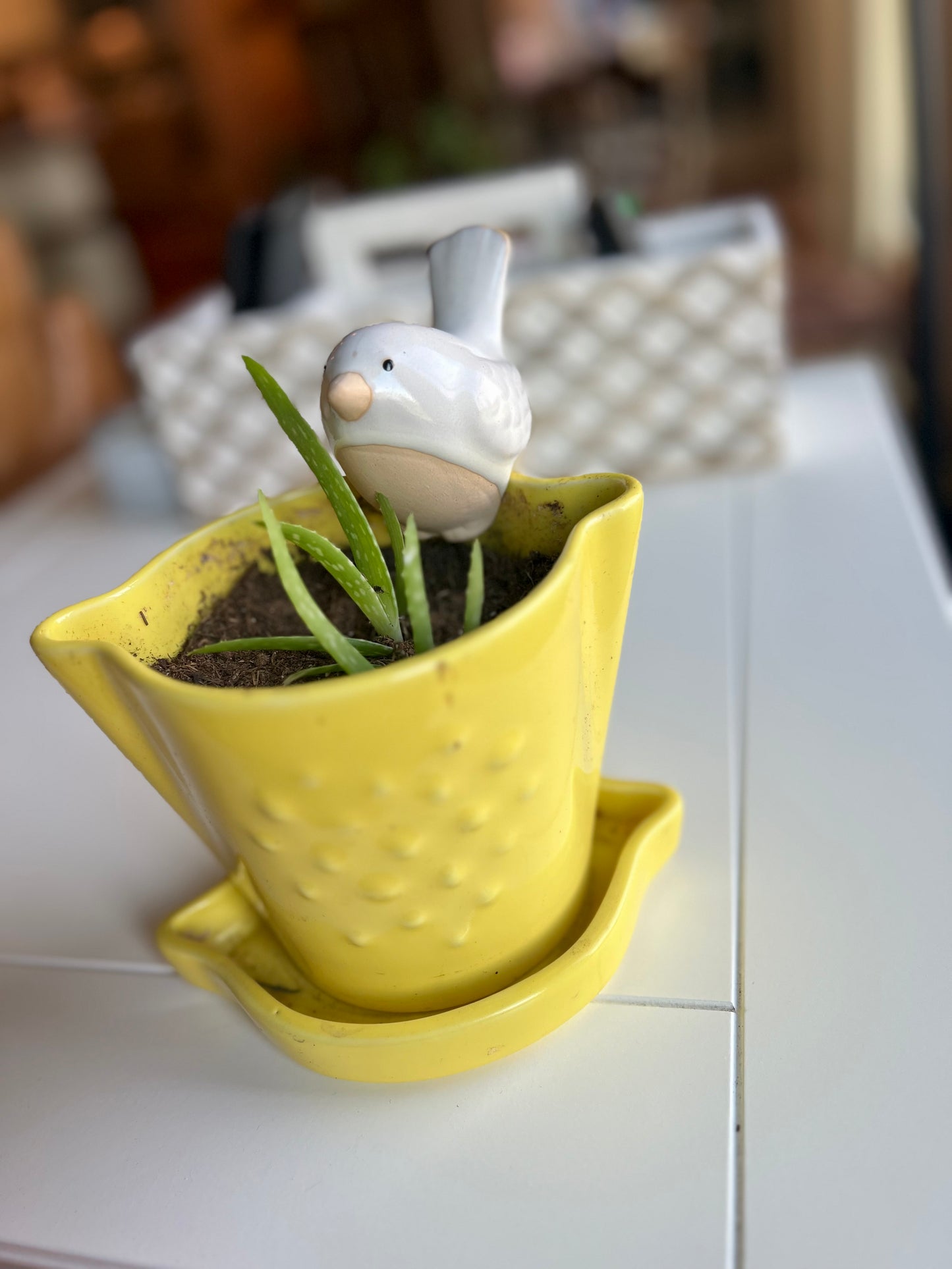 Perched Bird for Pot, Ceramic