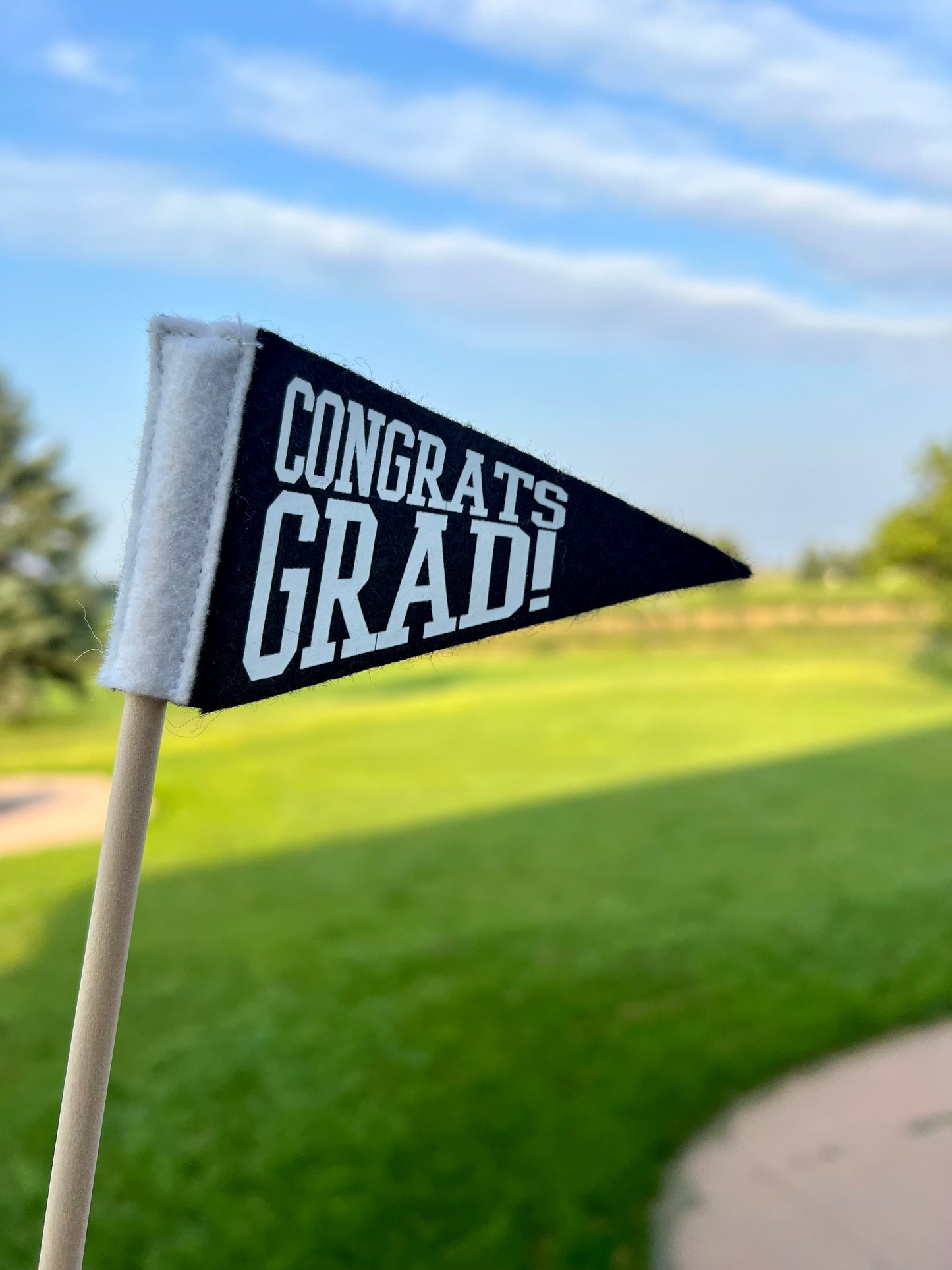 Graduation, Class of 2025 Tiny Pennant | Wool Blend Handmade